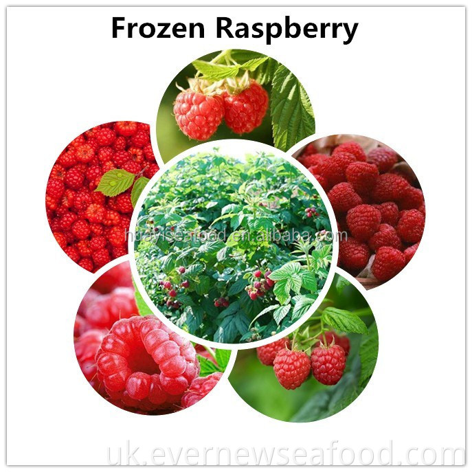 ЖИВИЙ СВІЖИЙ ТА ЗАМОРОЖЕНИЙ КИТАЙСЬКИЙ МАТЧОВИЙ КРАБ 2018 РОДУ НА ГОРНИЙ ПРОДАЖ